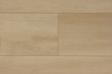 Load image into Gallery viewer, Coral Springs