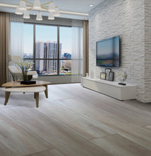 Load image into Gallery viewer, Coral Springs