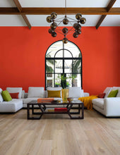 Load image into Gallery viewer, Cosenza