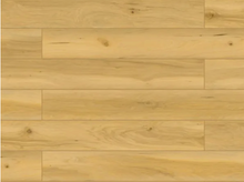 Load image into Gallery viewer, Park City