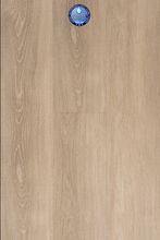 Load image into Gallery viewer, MoonStruck