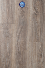 Load image into Gallery viewer, Bold Ambition