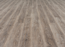 Load image into Gallery viewer, Bold Ambition