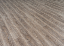 Load image into Gallery viewer, Bold Ambition