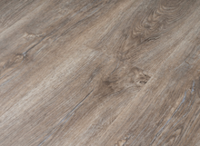 Load image into Gallery viewer, Bold Ambition