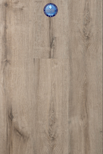 Load image into Gallery viewer, Sassy Grey