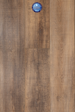 Load image into Gallery viewer, Endless Summer