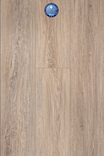 Load image into Gallery viewer, Joy Ride