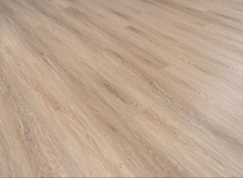 Load image into Gallery viewer, Joy Ride