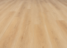 Load image into Gallery viewer, Road Trip