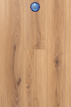 Load image into Gallery viewer, Star Struck