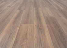 Load image into Gallery viewer, Buttercup