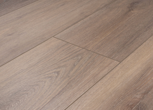 Load image into Gallery viewer, Buttercup