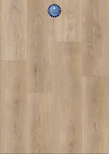 Load image into Gallery viewer, Bravo