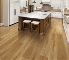 Load image into Gallery viewer, Oasis