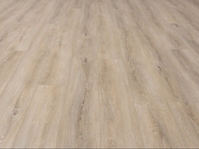 Load image into Gallery viewer, Trail Blazer