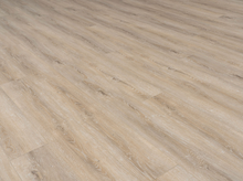 Load image into Gallery viewer, Trail Blazer