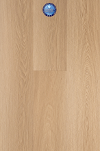 Load image into Gallery viewer, Limelight
