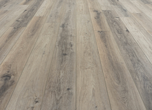 Load image into Gallery viewer, Fly Away
