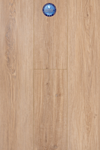 Load image into Gallery viewer, First Glance
