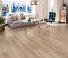 Load image into Gallery viewer, Bravo
