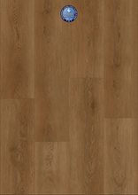 Load image into Gallery viewer, Diva
