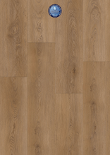 Load image into Gallery viewer, Foxy
