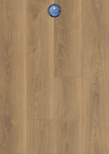 Load image into Gallery viewer, Inspire
