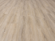 Load image into Gallery viewer, Trail Blazer
